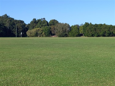 Synthetic cricket pitch