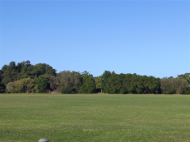 Field, view east