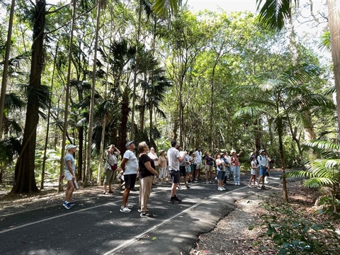Program participants spotting koalas