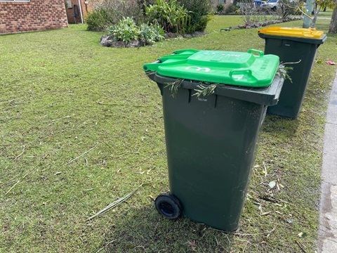 green bin and yellow bin ready for collection